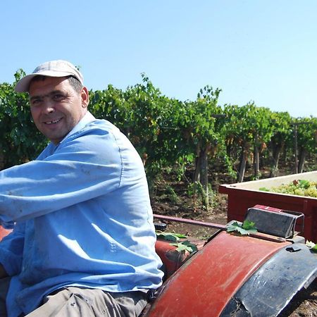 Agriturismo Torre Cristina Aprilia Eksteriør bilde