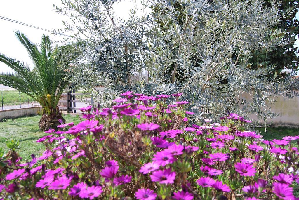Agriturismo Torre Cristina Aprilia Eksteriør bilde