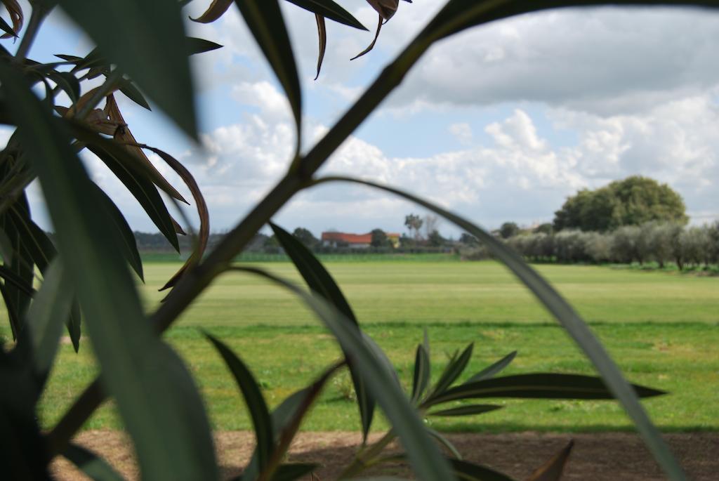 Agriturismo Torre Cristina Aprilia Eksteriør bilde