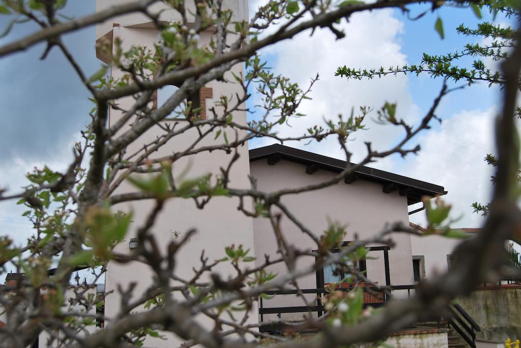 Agriturismo Torre Cristina Aprilia Eksteriør bilde