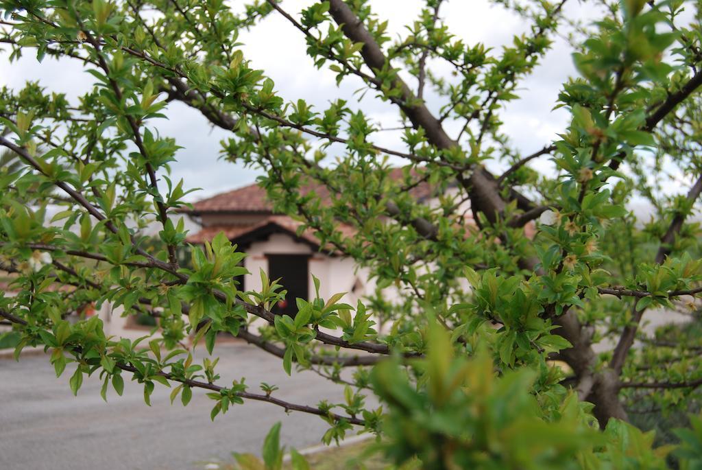 Agriturismo Torre Cristina Aprilia Eksteriør bilde