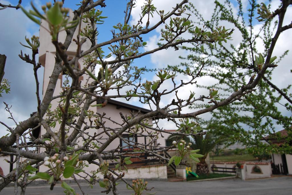 Agriturismo Torre Cristina Aprilia Eksteriør bilde