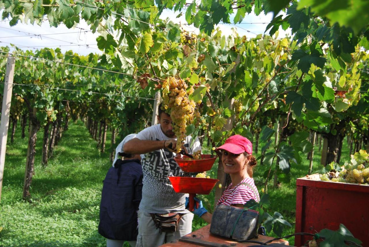 Agriturismo Torre Cristina Aprilia Eksteriør bilde