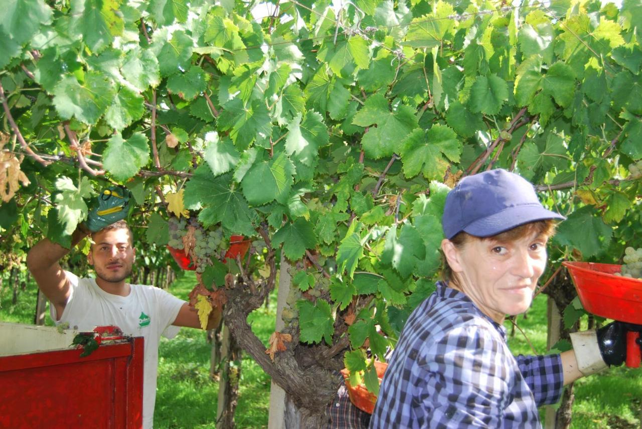 Agriturismo Torre Cristina Aprilia Eksteriør bilde