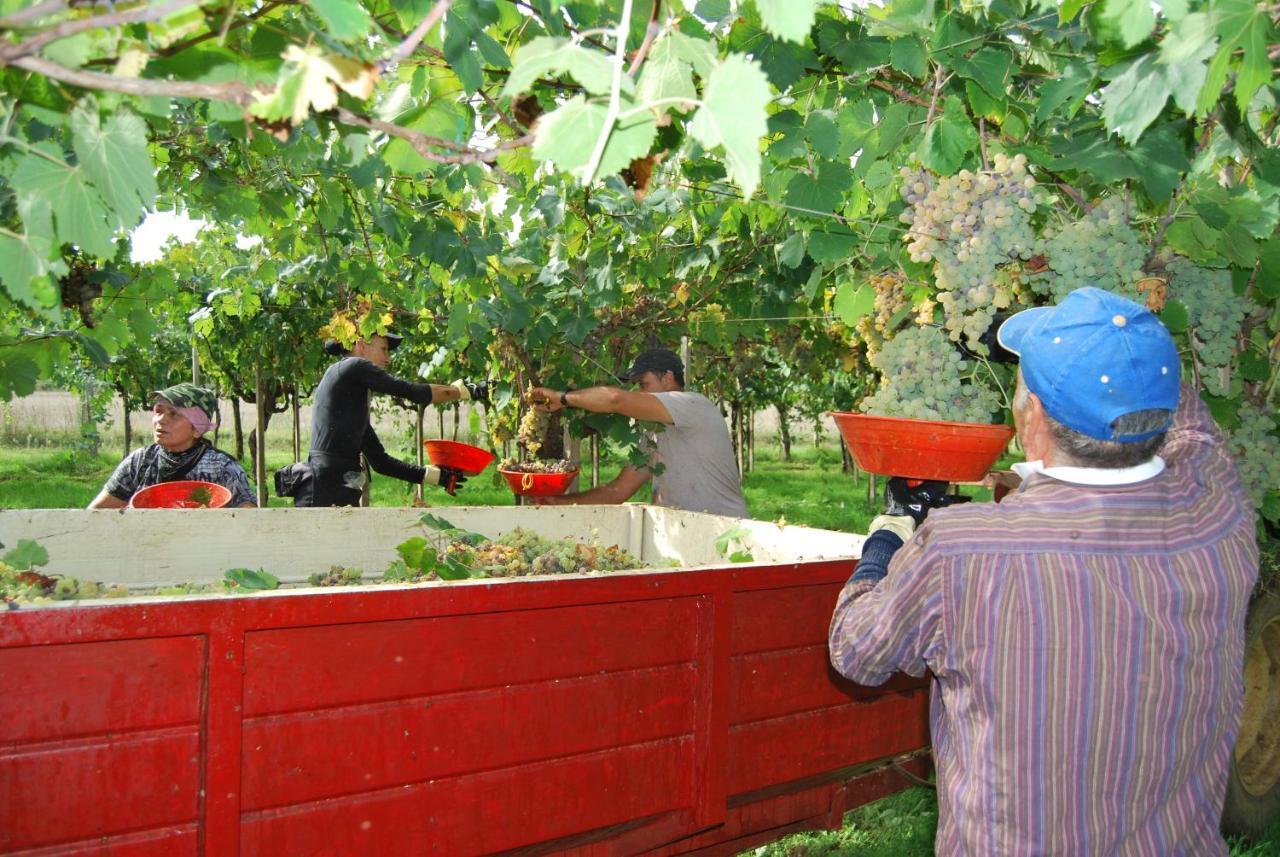 Agriturismo Torre Cristina Aprilia Eksteriør bilde